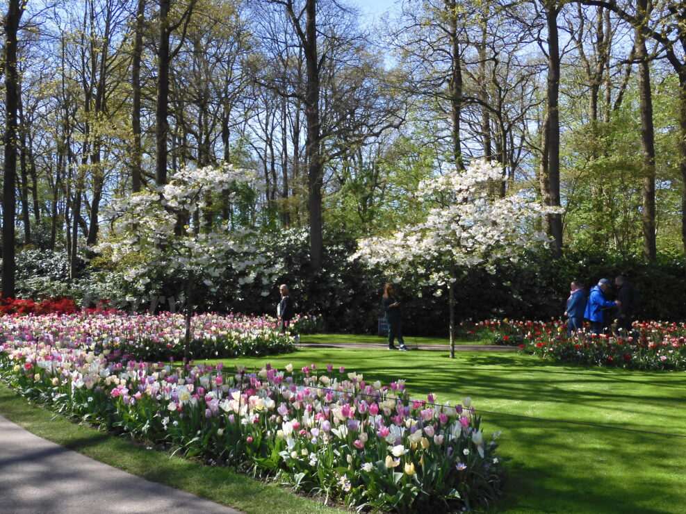 Keukenhof 2024